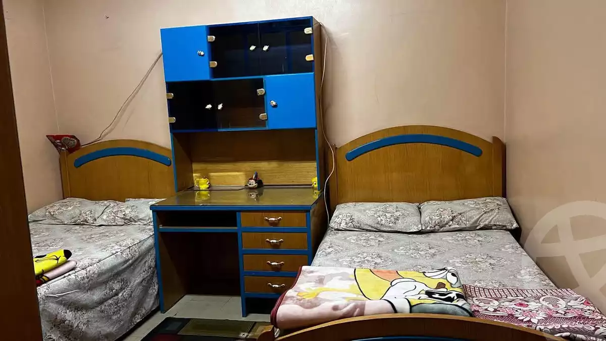 https://aqarmap.com.eg/ar/listing/5771905-for-rent-cairo-nasr-city-emedad-ramsis