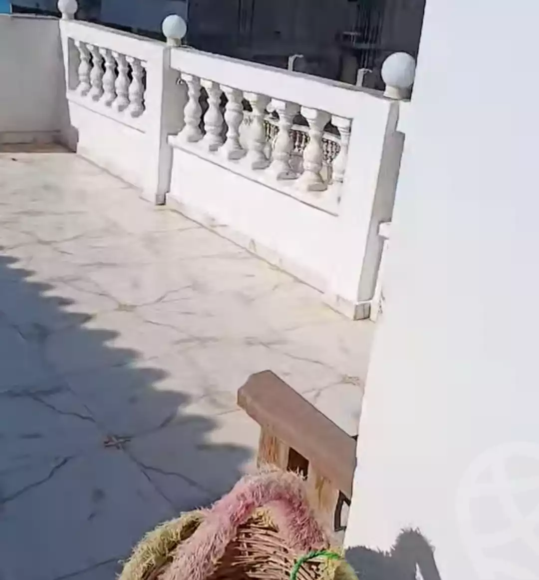 https://aqarmap.com.eg/en/listing/5774019-for-sale-alexandria-l-jmy-shataa-el-nakheel