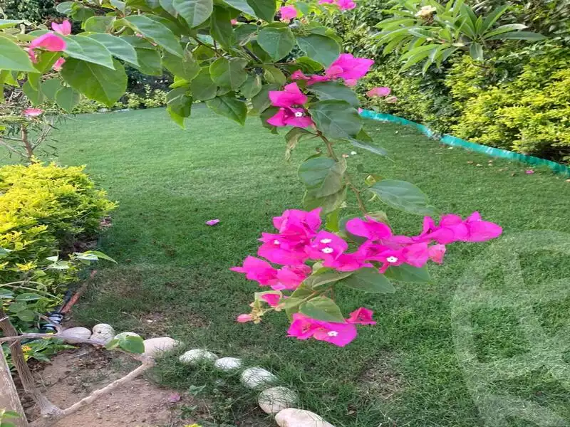 https://aqarmap.com.eg/en/listing/5775019-for-rent-cairo-el-sheikh-zayed-city-compounds-greens