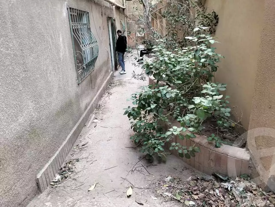 https://aqarmap.com.eg/en/listing/5776482-for-rent-cairo-mokattam-lhdb-l-ly-shareaa-9