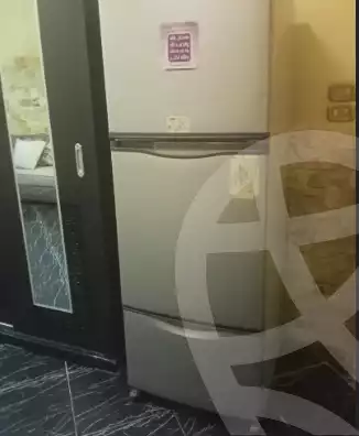 https://aqarmap.com.eg/en/listing/5777678-for-rent-cairo-al-zamalek