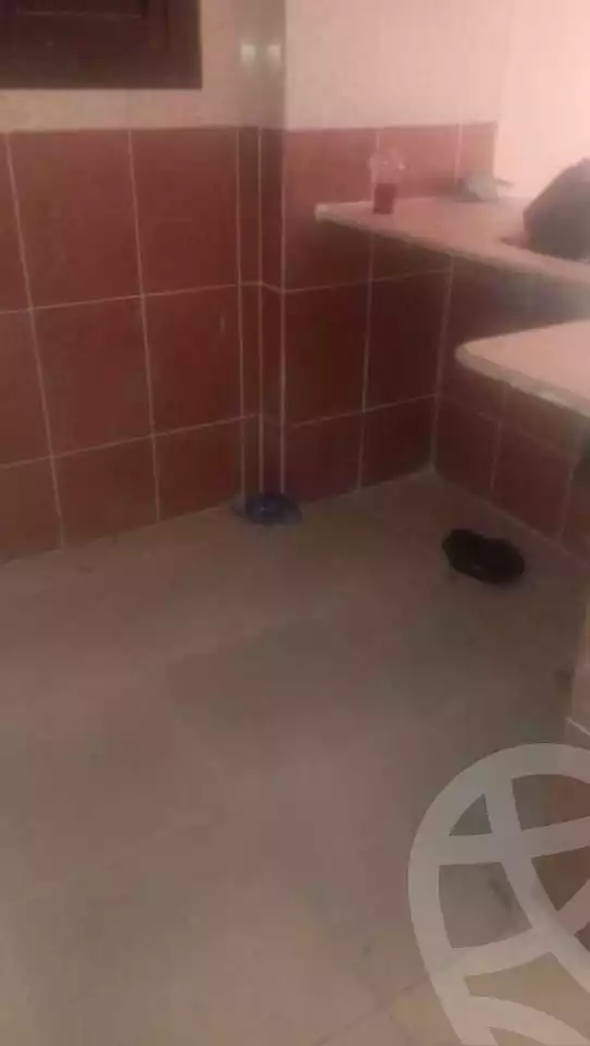 https://aqarmap.com.eg/en/listing/5779313-for-sale-alexandria-l-jmy-lbytsh-el-hanafeya-st