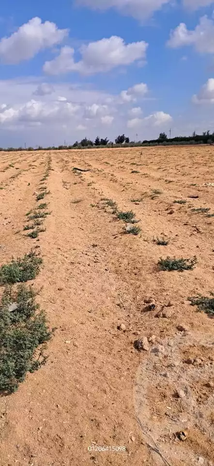 https://aqarmap.com.eg/en/listing/5779444-for-sale-alexandria-cairo-alexandria-desert-road