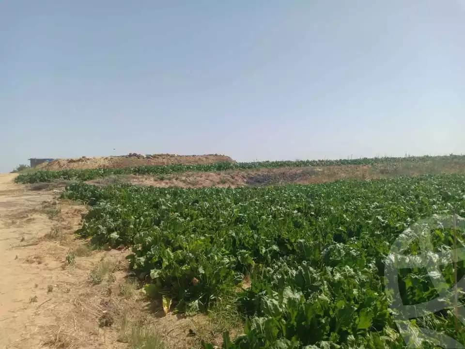 https://aqarmap.com.eg/ar/listing/5779729-for-sale-beheira-wadi-el-natrun