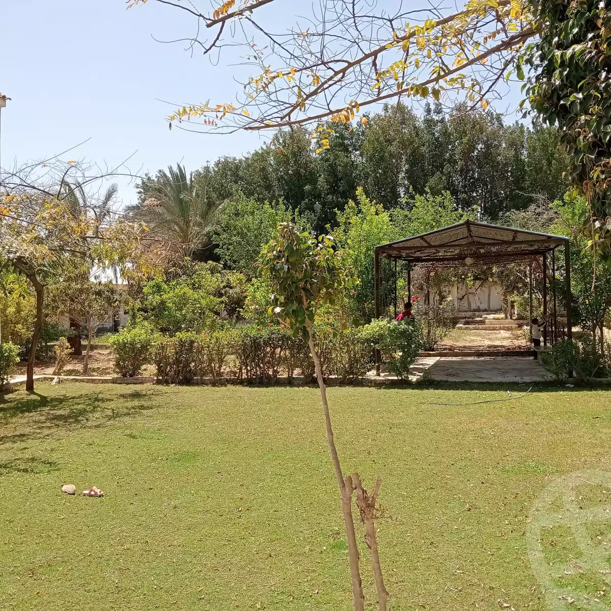 https://aqarmap.com.eg/en/listing/5779938-for-sale-alexandria-king-maryot