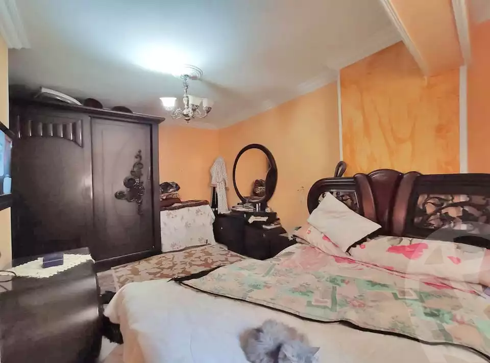 https://aqarmap.com.eg/en/listing/5783841-for-sale-alexandria-ganaklis