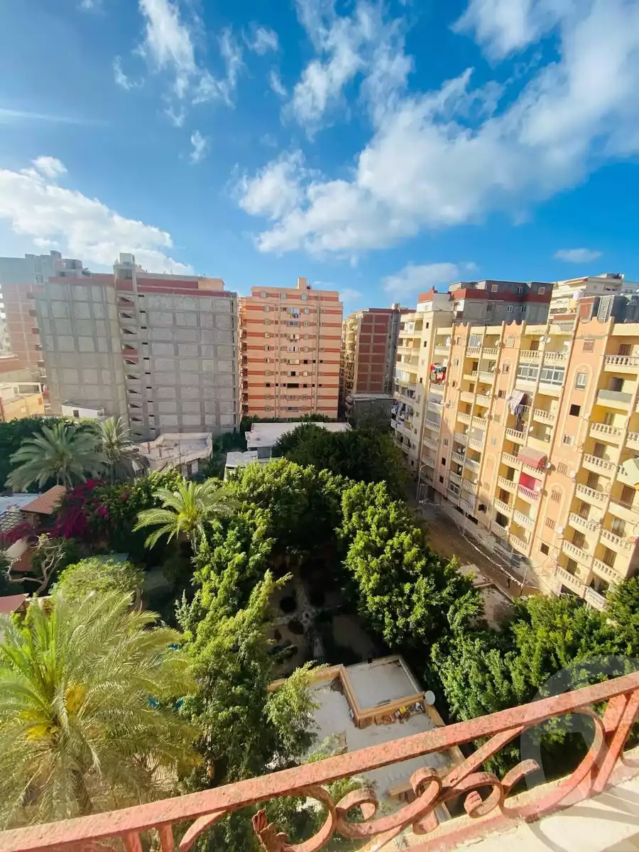 https://aqarmap.com.eg/ar/listing/5785452-for-sale-alexandria-l-jmy-lbytsh-street-11
