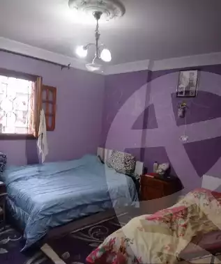 https://aqarmap.com.eg/en/listing/5787258-for-sale-alexandria-lsywf
