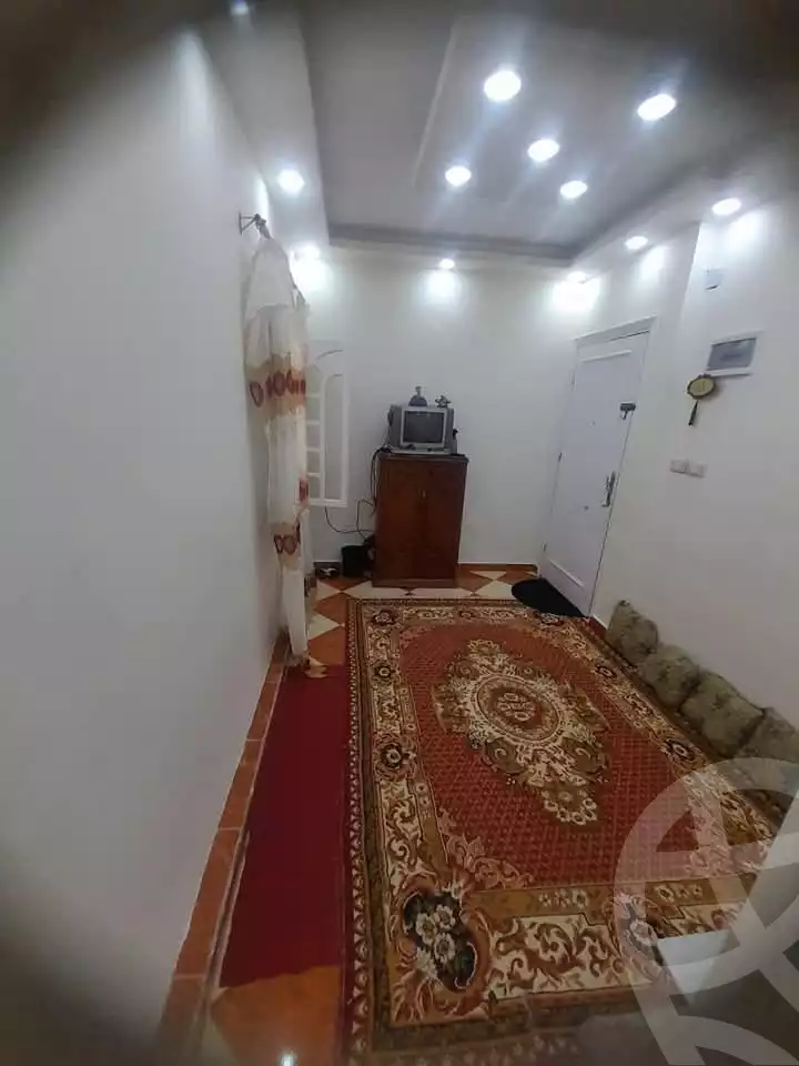 https://aqarmap.com.eg/ar/listing/5791071-for-sale-alexandria-l-jmy-lbytsh-al-samalehy-2-st