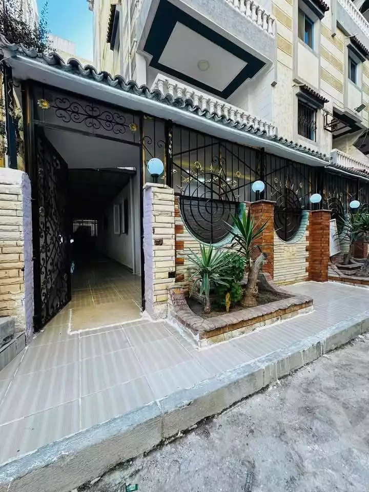 https://aqarmap.com.eg/ar/listing/5796193-for-sale-alexandria-l-jmy-shataa-el-nakheel