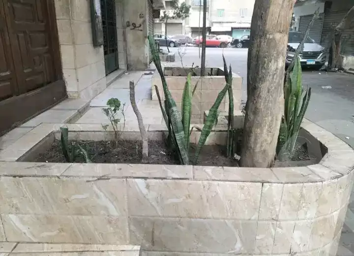 https://aqarmap.com.eg/ar/listing/5798502-for-sale-cairo-faisal-el-maryotyah-amr-ibn-al-aas-st