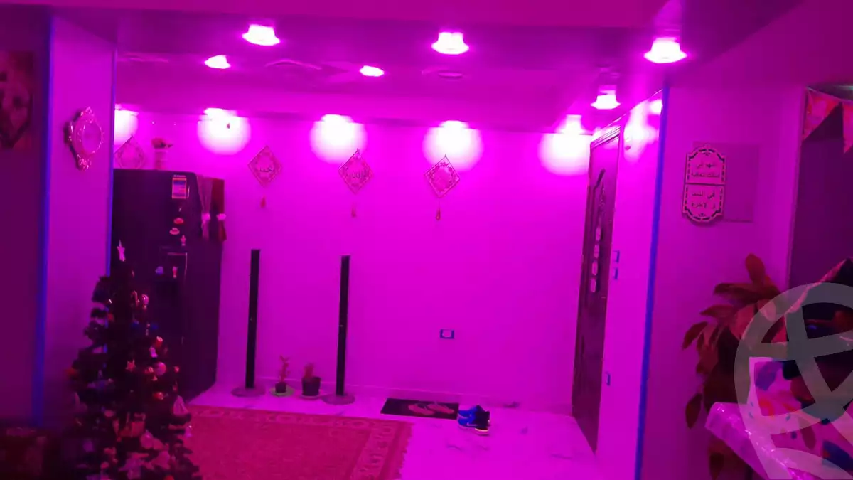 https://aqarmap.com.eg/en/listing/5799240-for-sale-cairo-faisal-el-maryotyah-dr-lashin-st