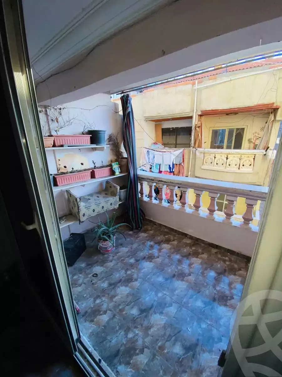 https://aqarmap.com.eg/en/listing/5799845-for-sale-alexandria-l-jmy-lbytsh-qased-kareem-st