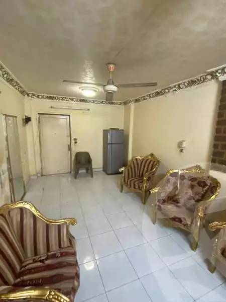 https://aqarmap.com.eg/en/listing/5801893-for-rent-cairo-faisal