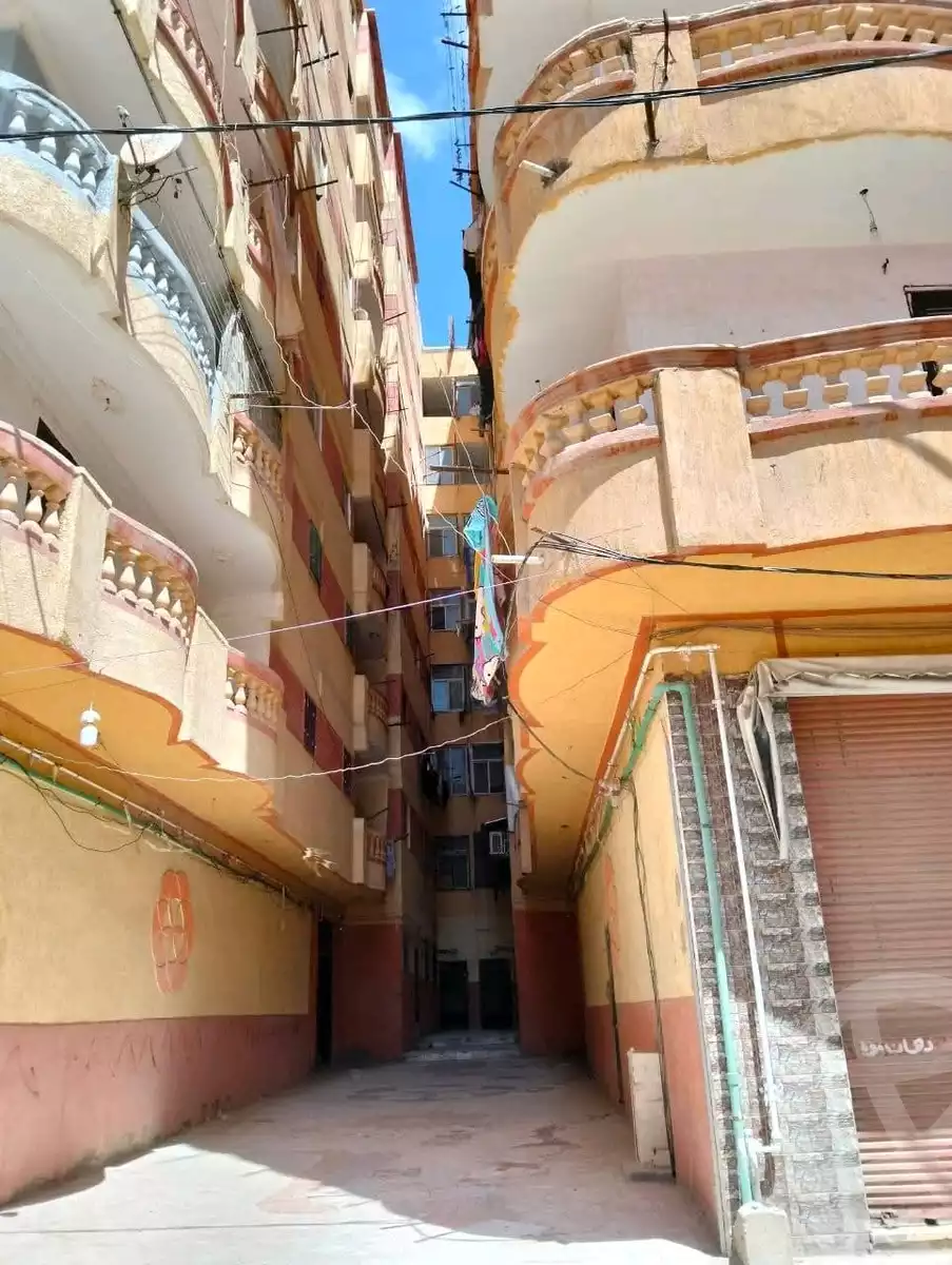https://aqarmap.com.eg/ar/listing/5805638-for-sale-alexandria-l-jmy-el-hanouvel-al-haded-we-al-soulb-st