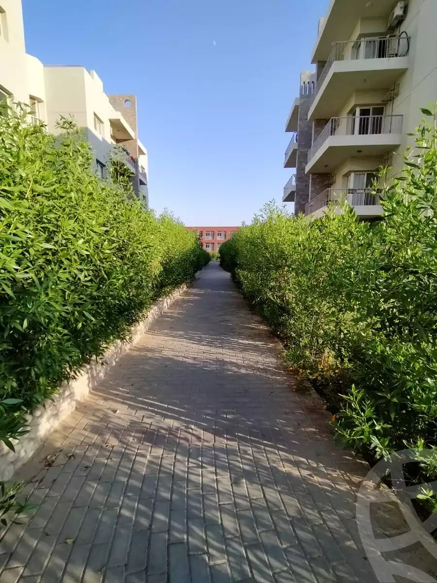 https://aqarmap.com.eg/en/listing/5805796-for-rent-cairo-el-sheikh-zayed-city-compounds-dh-drys