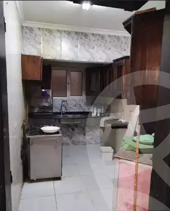 https://aqarmap.com.eg/en/listing/5807164-for-sale-cairo-nasr-city-hassan-el-mamoon
