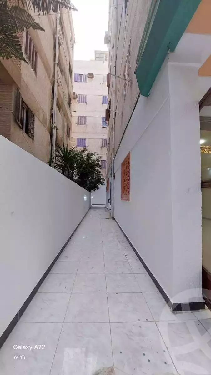 https://aqarmap.com.eg/en/listing/5816627-for-sale-alexandria-l-jmy-shataa-el-nakheel