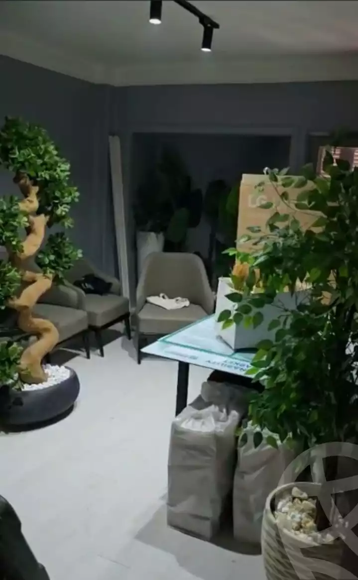 https://aqarmap.com.eg/en/listing/5821396-for-rent-cairo-heliopolis-sheraton-el-nasr-st