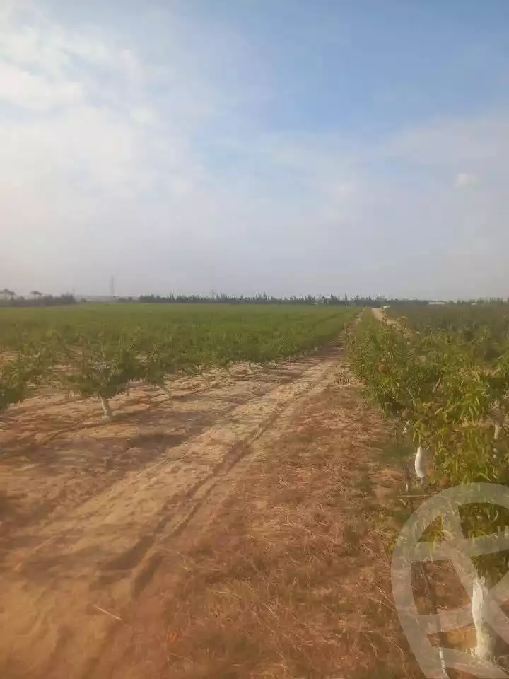 https://aqarmap.com.eg/en/listing/5824189-for-sale-alexandria-cairo-alexandria-desert-road