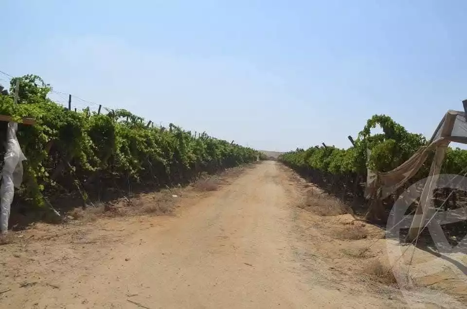https://aqarmap.com.eg/en/listing/5824196-for-sale-beheira-wadi-el-natrun