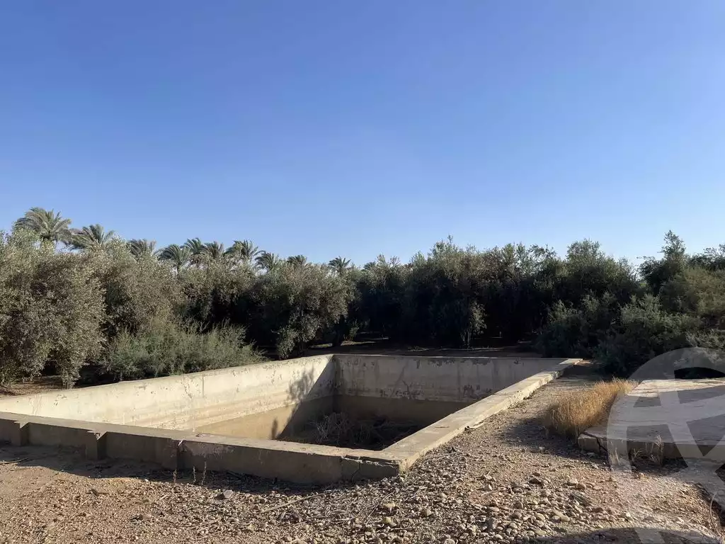 https://aqarmap.com.eg/en/listing/5830455-for-sale-cairo-el-mansuriyyah-el-saliba