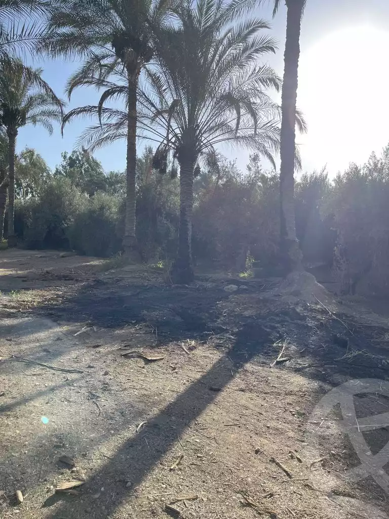 https://aqarmap.com.eg/en/listing/5830497-for-sale-cairo-el-mansuriyyah-el-saliba