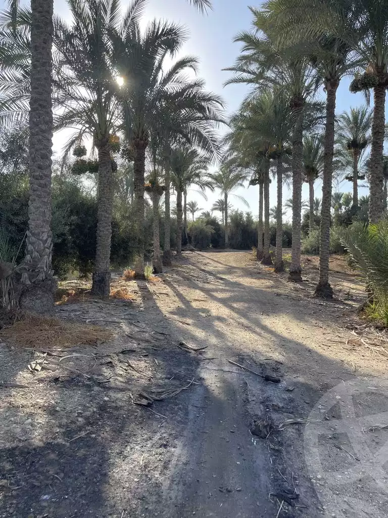 https://aqarmap.com.eg/en/listing/5830497-for-sale-cairo-el-mansuriyyah-el-saliba