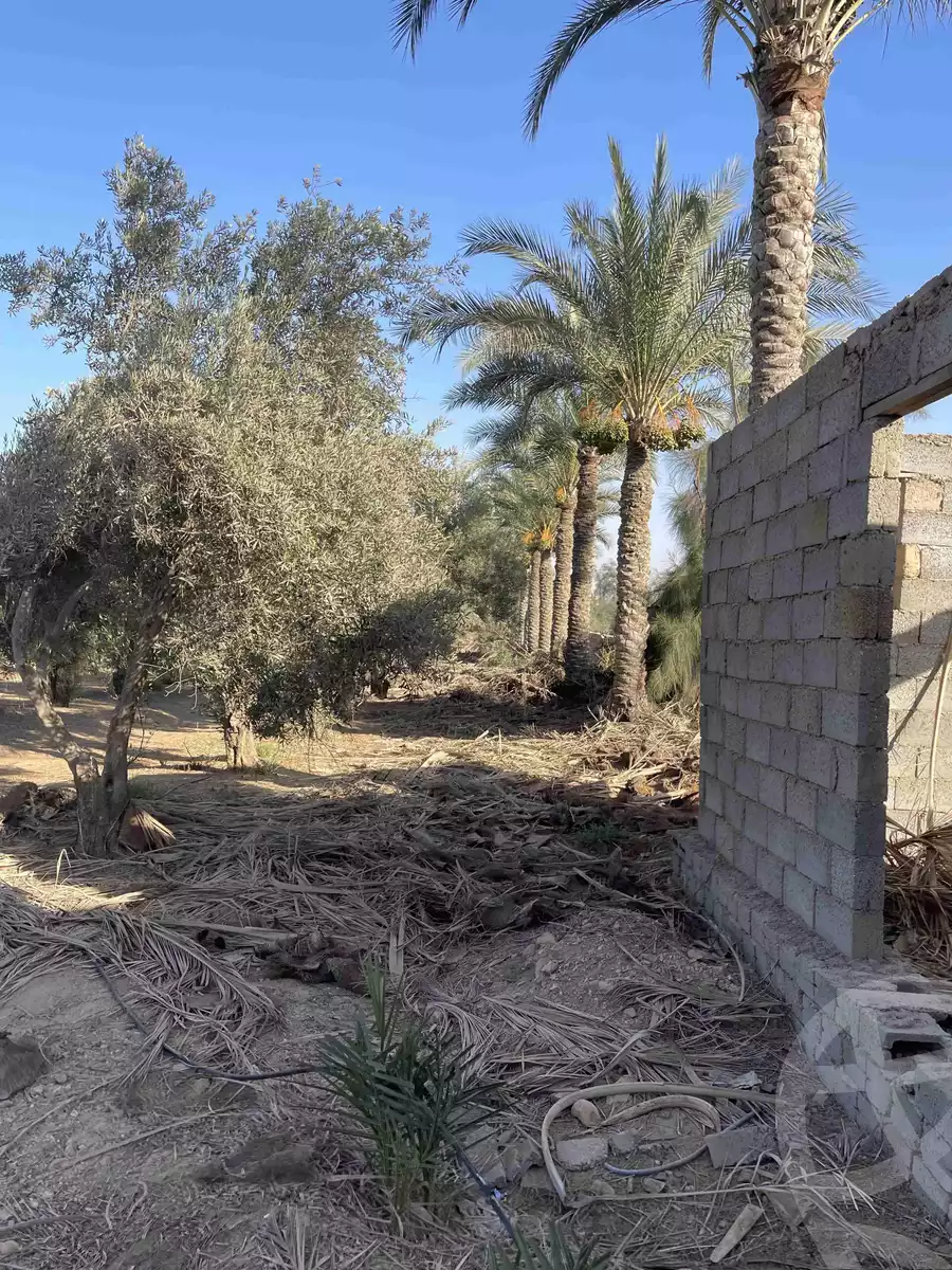 https://aqarmap.com.eg/ar/listing/5832219-for-sale-cairo-el-mansuriyyah-el-saliba