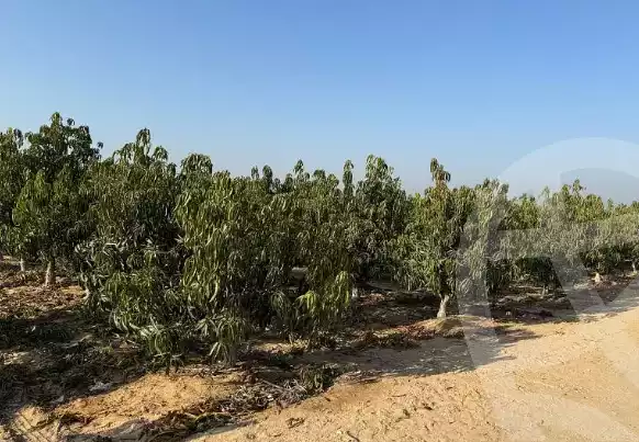 https://aqarmap.com.eg/en/listing/5838070-for-sale-beheira-new-nubariya