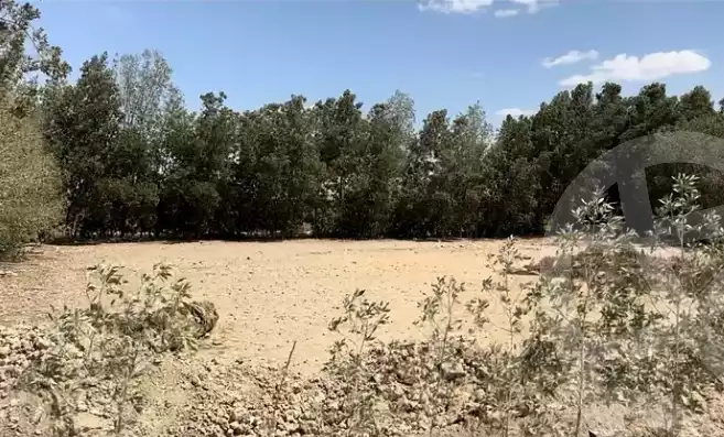 https://aqarmap.com.eg/en/listing/5840671-for-sale-el-fayoum-yousef-el-sedeeq-tunis-village