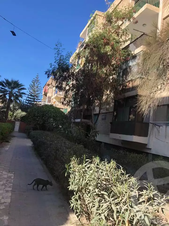 https://aqarmap.com.eg/en/listing/5840834-for-sale-alexandria-lsywf