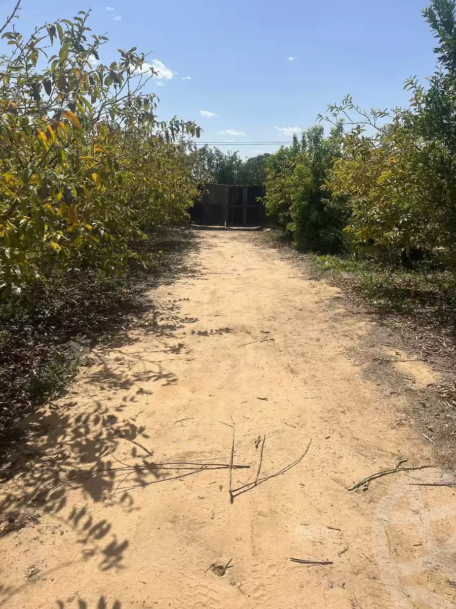 https://aqarmap.com.eg/en/listing/5844662-for-sale-beheira-new-nubariya