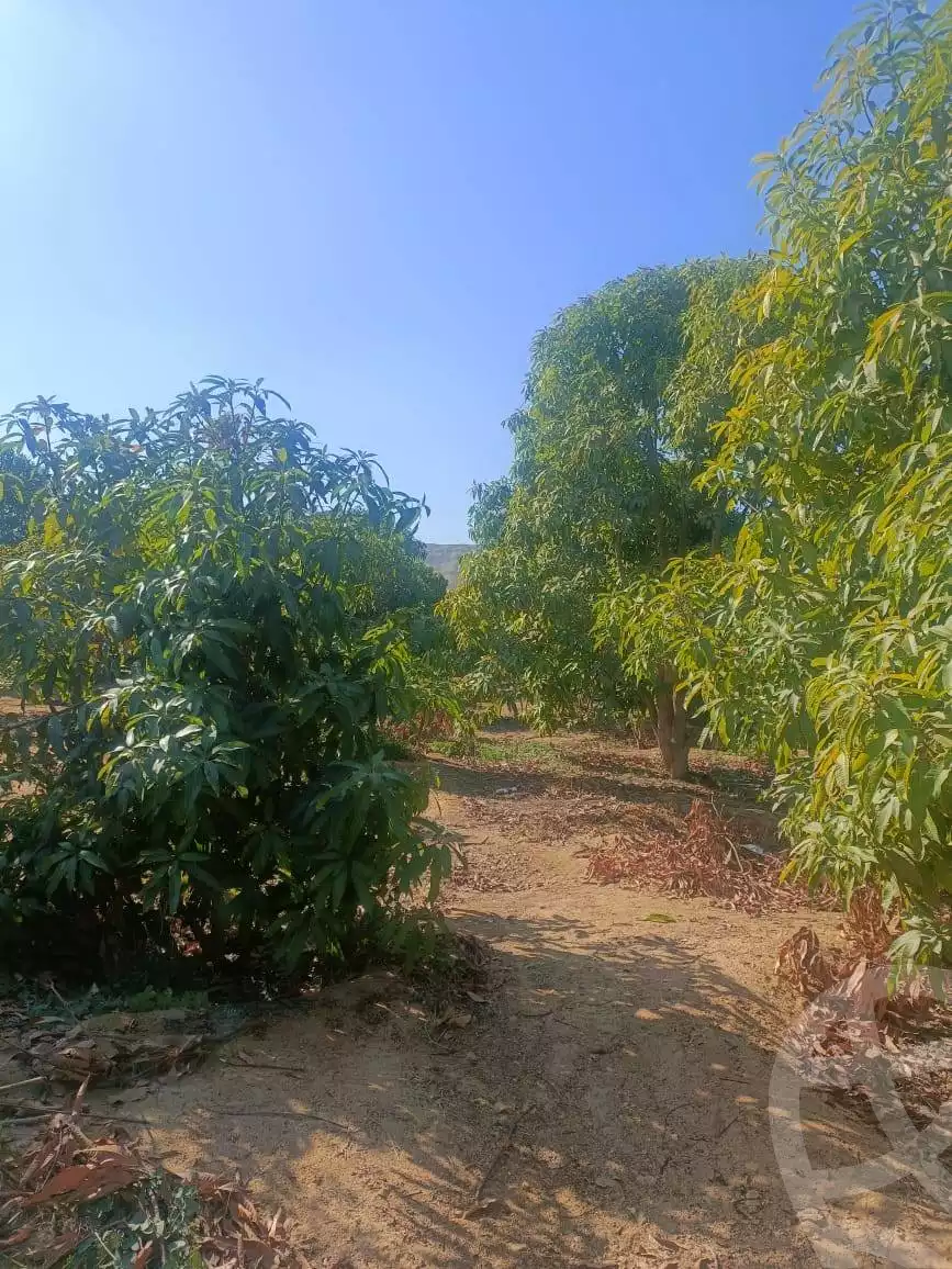 https://aqarmap.com.eg/en/listing/5847361-for-sale-ismailia-fayed