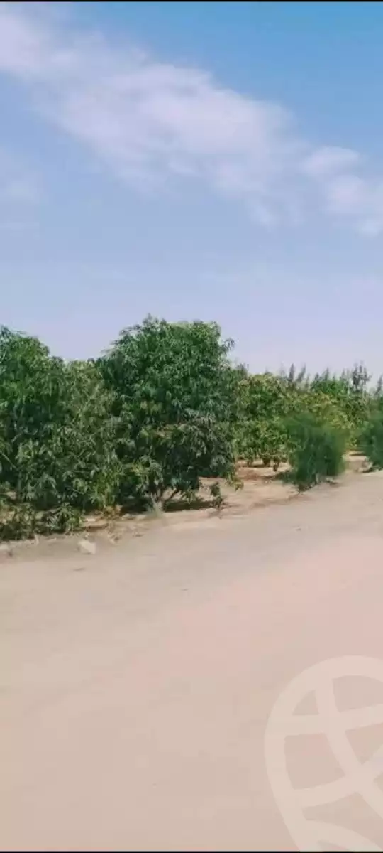 https://aqarmap.com.eg/en/listing/5847366-for-sale-ismailia-ismailia-city