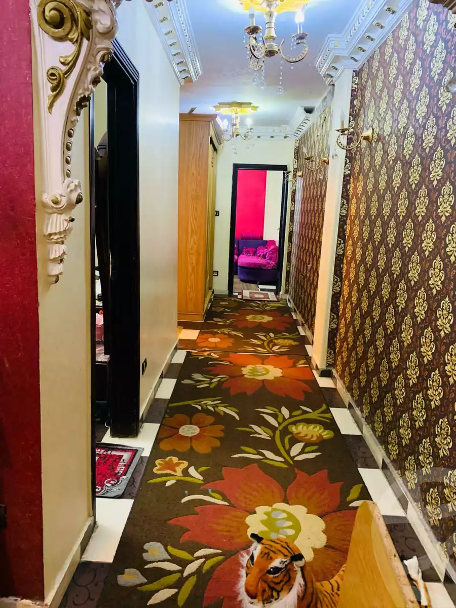 https://aqarmap.com.eg/en/listing/5847795-for-sale-alexandria-l-jmy-lbytsh-qased-kareem-st