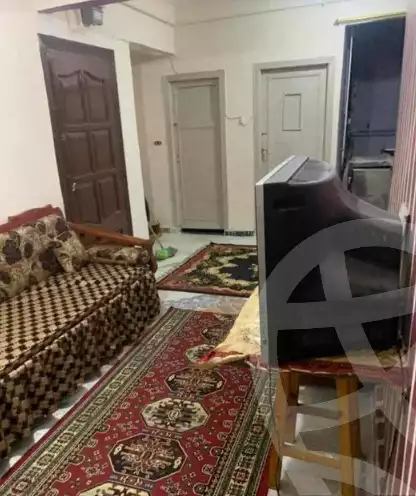 https://aqarmap.com.eg/en/listing/5850907-for-sale-alexandria-l-jmy-el-hanouvel