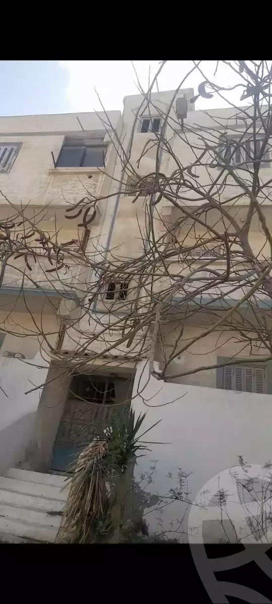 https://aqarmap.com.eg/en/listing/5851330-for-sale-alexandria-l-jmy-el-kilo-21