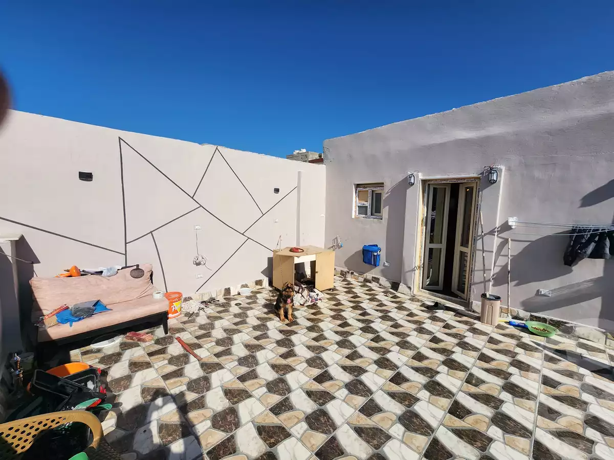 https://aqarmap.com.eg/ar/listing/5855993-for-sale-alexandria-new-miami-compounds-new-miami-doctors-city
