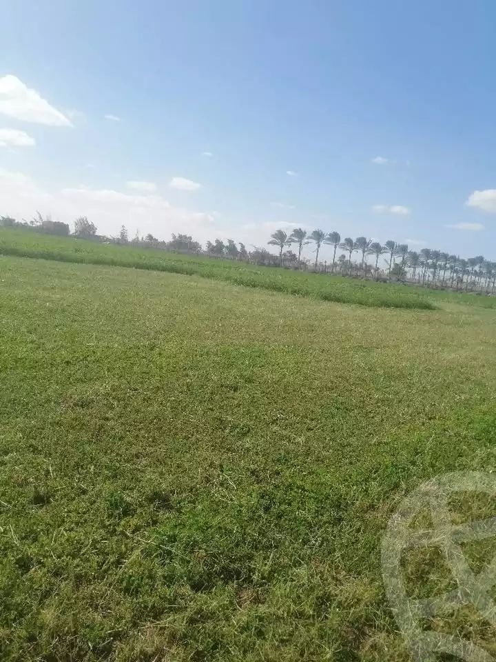 https://aqarmap.com.eg/en/listing/5858292-for-sale-alexandria-cairo-alexandria-desert-road