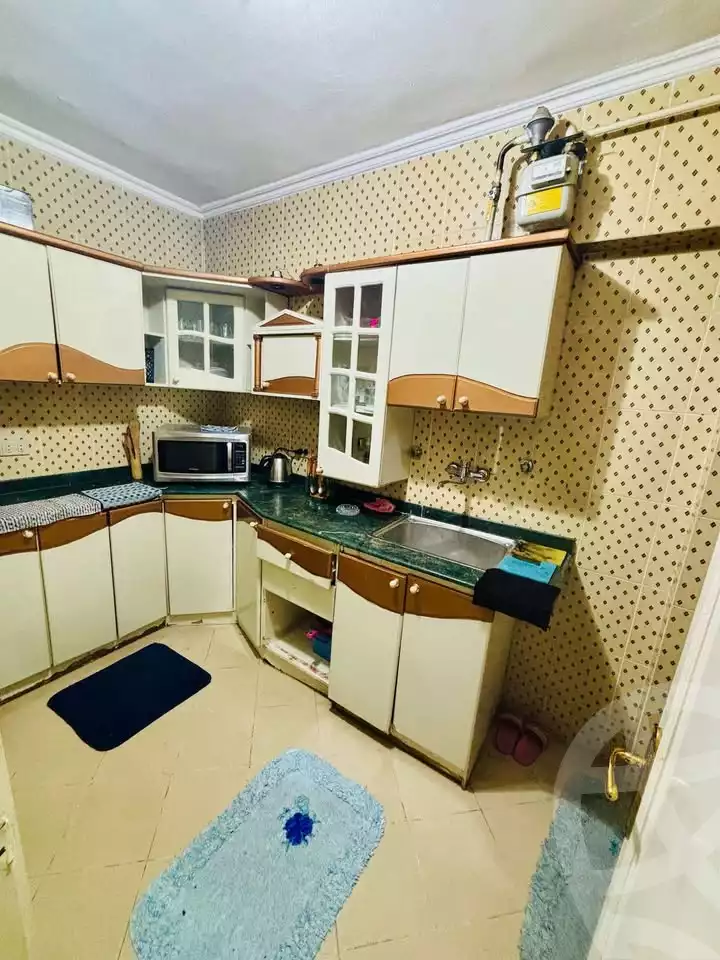https://aqarmap.com.eg/en/listing/5861517-for-rent-alexandria-ganaklis
