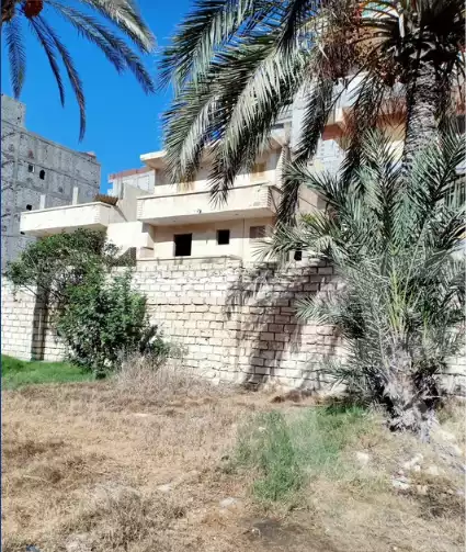 https://aqarmap.com.eg/en/listing/5862024-for-sale-alexandria-l-jmy-el-hanouvel