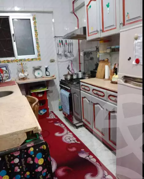 https://aqarmap.com.eg/en/listing/5862860-for-sale-alexandria-l-jmy-el-daresa-st