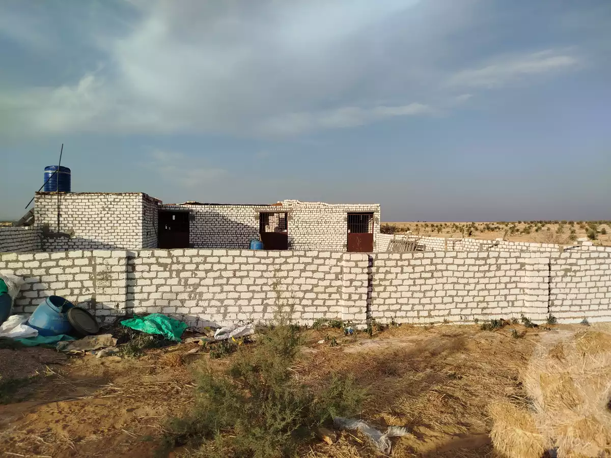 https://aqarmap.com.eg/en/listing/5863510-for-sale-beheira-wadi-el-natrun-el-gaar