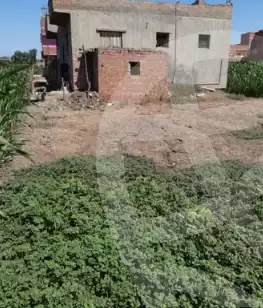 https://aqarmap.com.eg/en/listing/5868937-for-sale-monufia-tala