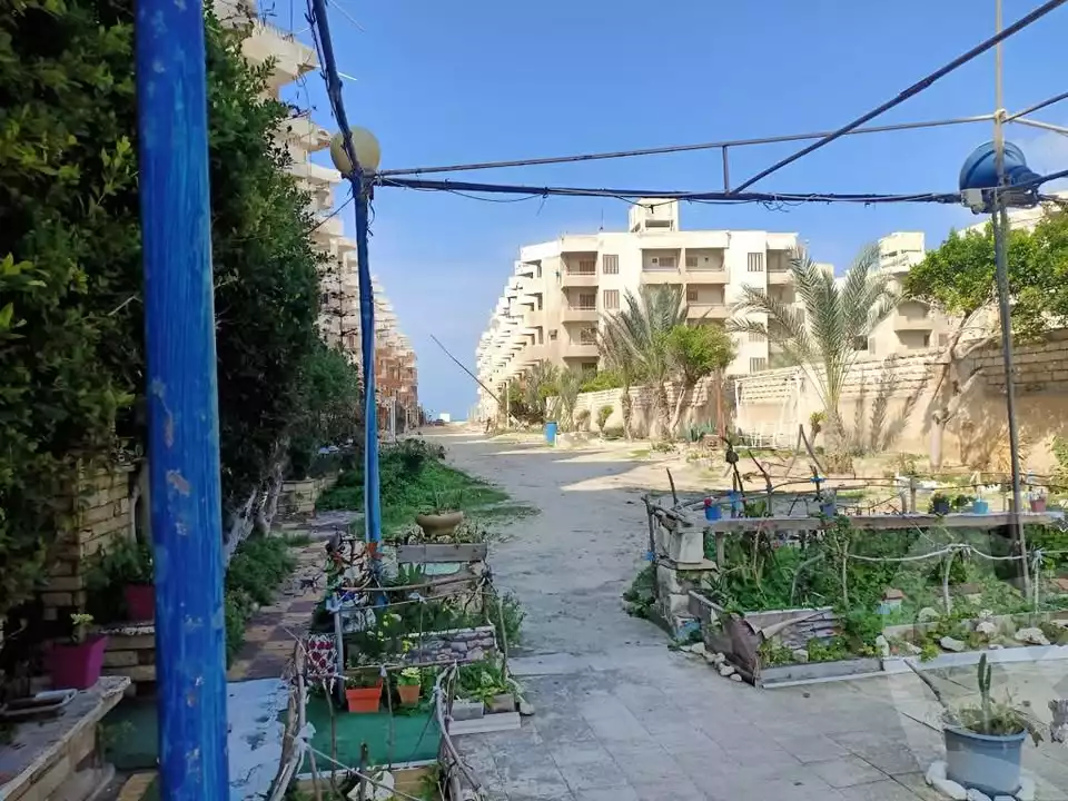 https://aqarmap.com.eg/en/listing/5869020-for-sale-alexandria-l-jmy-lbytsh-bianchiii