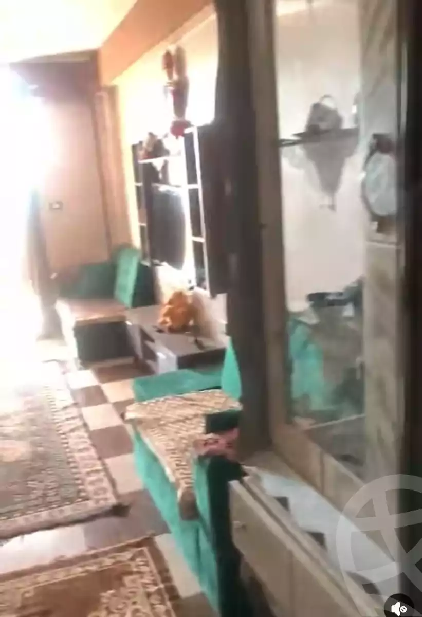 https://aqarmap.com.eg/en/listing/5872047-for-rent-alexandria-l-jmy-el-hanouvel