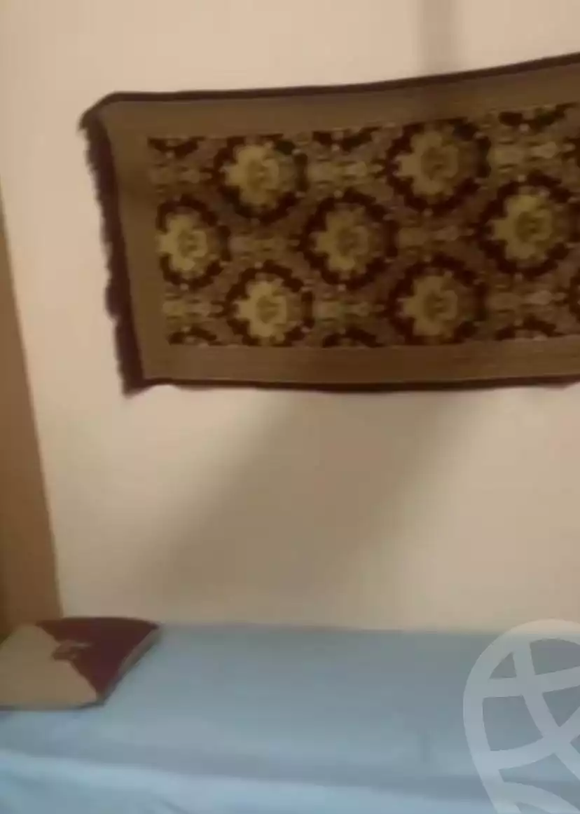 https://aqarmap.com.eg/en/listing/5872047-for-rent-alexandria-l-jmy-el-hanouvel