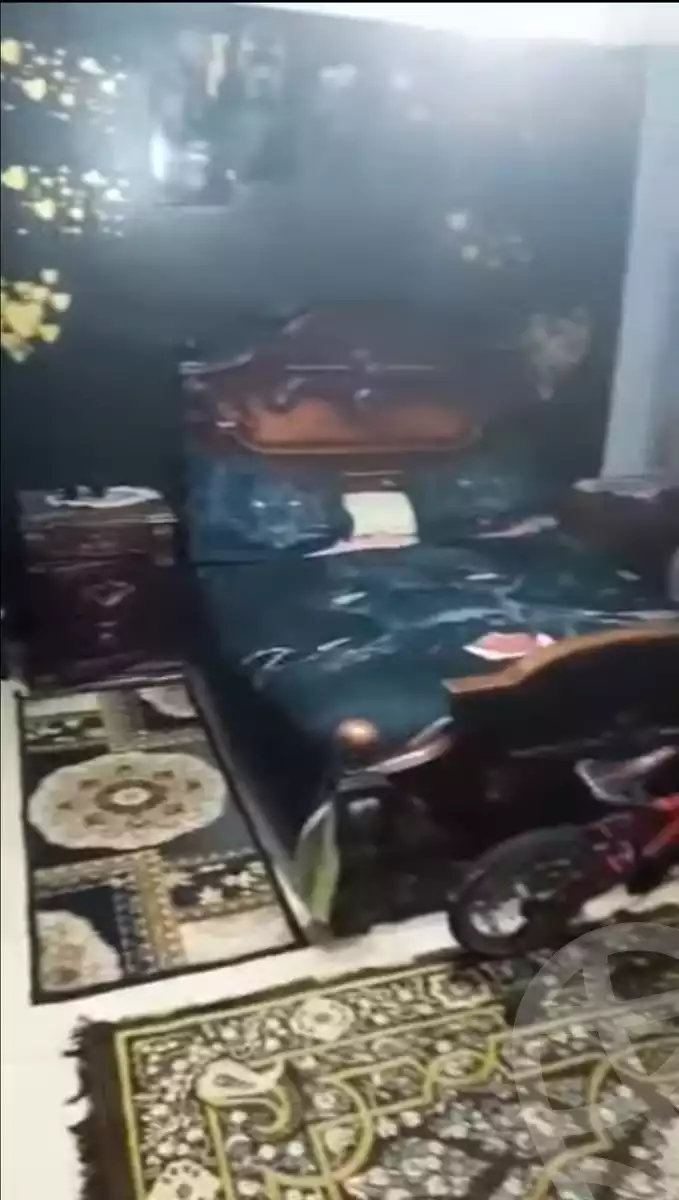 https://aqarmap.com.eg/en/listing/5873319-for-sale-alexandria-l-jmy-lbytsh-mohamed-el-fardi-st