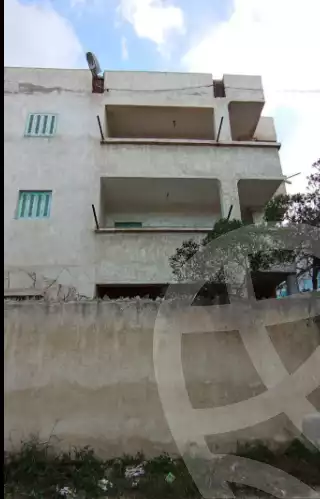 https://aqarmap.com.eg/ar/listing/5873594-for-sale-alexandria-l-jmy-lbytsh-el-hay-st
